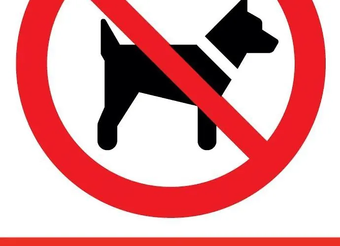 Ceglana Park -parking W Hali Garazowej- Piekne Nowe Osiedle Appartement Katowice